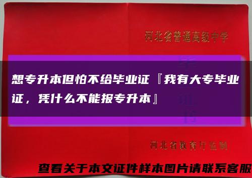想专升本但怕不给毕业证『我有大专毕业证，凭什么不能报专升本』缩略图