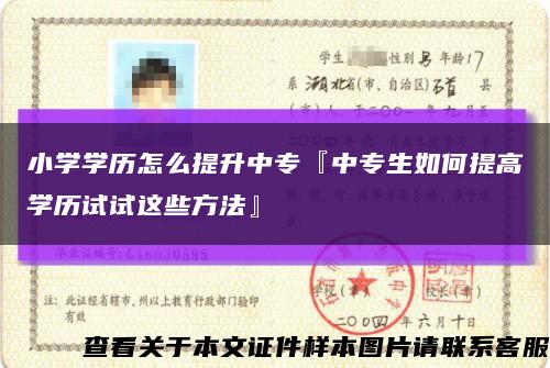 小学学历怎么提升中专『中专生如何提高学历试试这些方法』缩略图