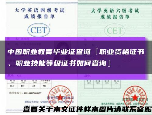 中国职业教育毕业证查询『职业资格证书、职业技能等级证书如何查询』缩略图