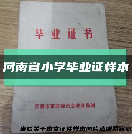 河南省小学毕业证样本缩略图