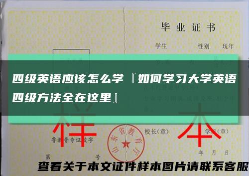 四级英语应该怎么学『如何学习大学英语四级方法全在这里』缩略图