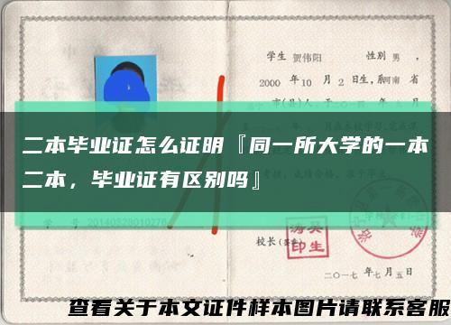 二本毕业证怎么证明『同一所大学的一本二本，毕业证有区别吗』缩略图