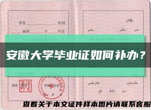 安徽大学毕业证如何补办？缩略图