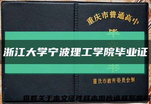 浙江大学宁波理工学院毕业证缩略图