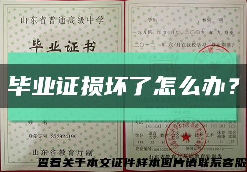 毕业证损坏了怎么办？缩略图