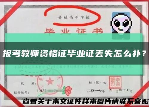 报考教师资格证毕业证丢失怎么补？缩略图