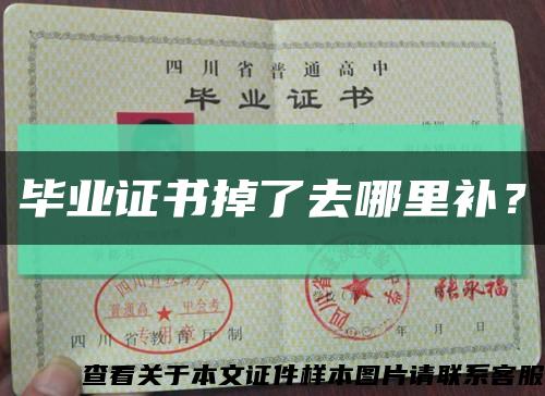 毕业证书掉了去哪里补？缩略图