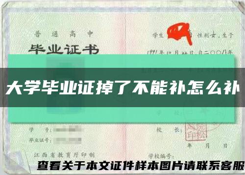 大学毕业证掉了不能补怎么补缩略图