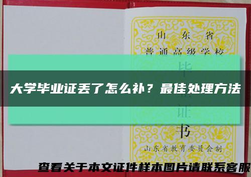 大学毕业证丢了怎么补？最佳处理方法缩略图