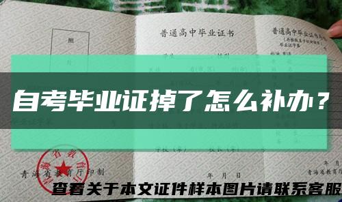 自考毕业证掉了怎么补办？缩略图