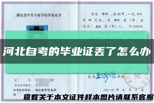 河北自考的毕业证丢了怎么办缩略图