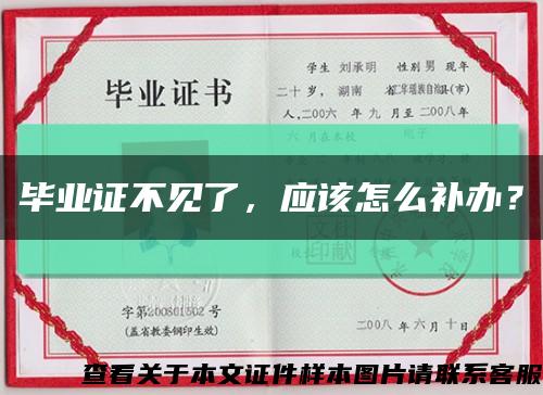 毕业证不见了，应该怎么补办？缩略图