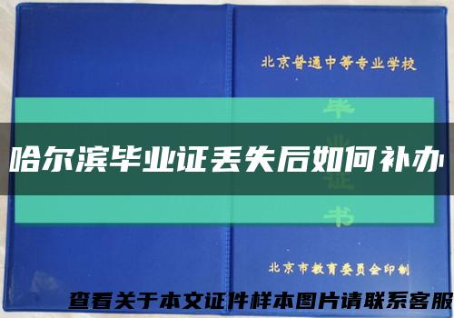 哈尔滨毕业证丢失后如何补办缩略图