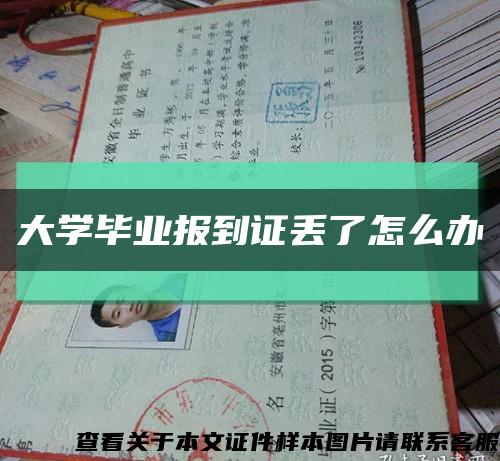 大学毕业报到证丢了怎么办缩略图