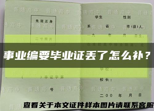 事业编要毕业证丢了怎么补？缩略图