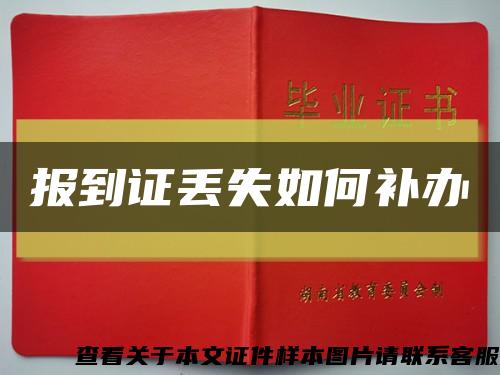 报到证丢失如何补办缩略图