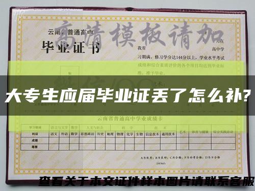 大专生应届毕业证丢了怎么补?缩略图