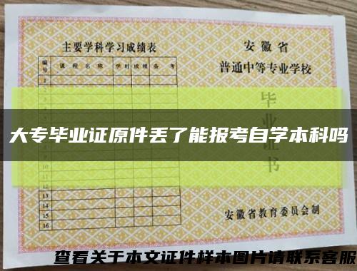 大专毕业证原件丢了能报考自学本科吗缩略图