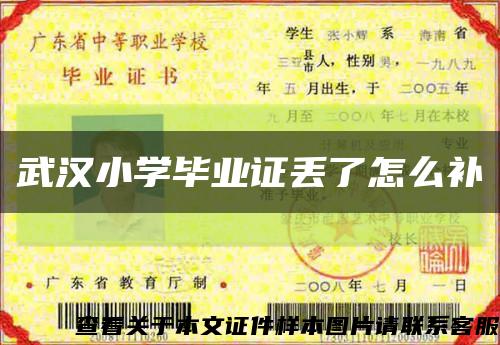 武汉小学毕业证丢了怎么补缩略图