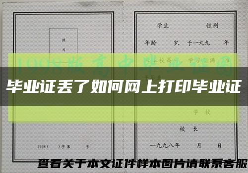毕业证丢了如何网上打印毕业证缩略图
