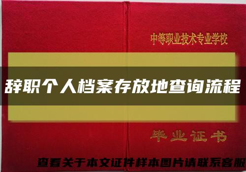 辞职个人档案存放地查询流程缩略图