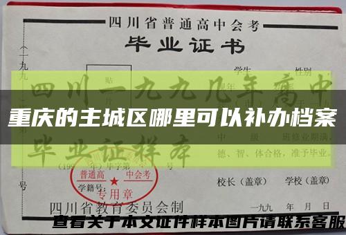 重庆的主城区哪里可以补办档案缩略图