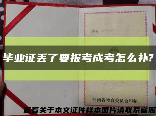 毕业证丢了要报考成考怎么补?缩略图