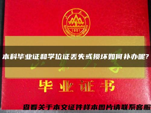 本科毕业证和学位证丢失或损坏如何补办呢?缩略图