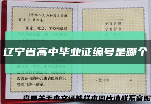辽宁省高中毕业证编号是哪个缩略图