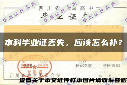 本科毕业证丢失，应该怎么补？缩略图