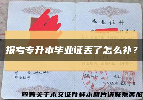 报考专升本毕业证丢了怎么补？缩略图