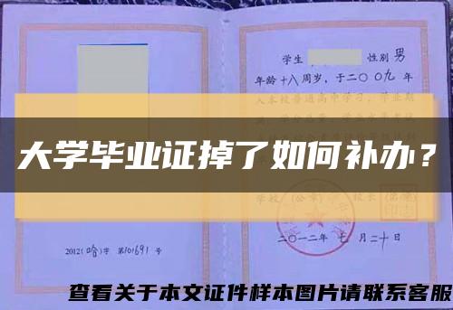 大学毕业证掉了如何补办？缩略图
