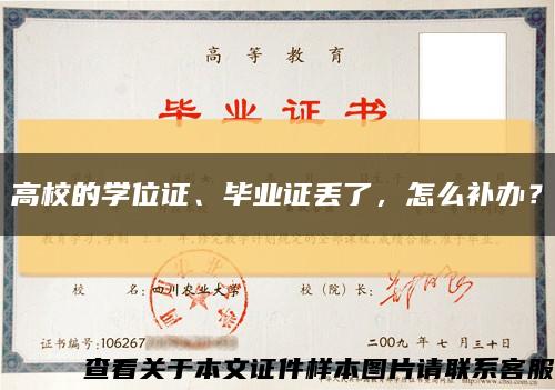 高校的学位证、毕业证丢了，怎么补办？缩略图