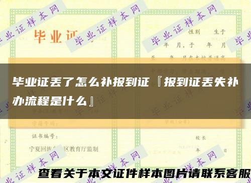 毕业证丢了怎么补报到证『报到证丢失补办流程是什么』缩略图