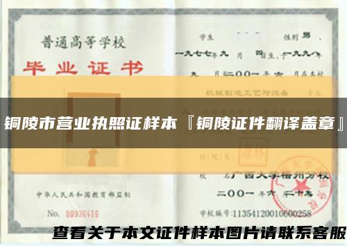铜陵市营业执照证样本『铜陵证件翻译盖章』缩略图