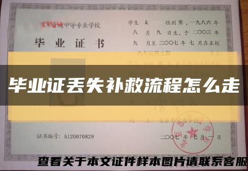 毕业证丢失补救流程怎么走缩略图