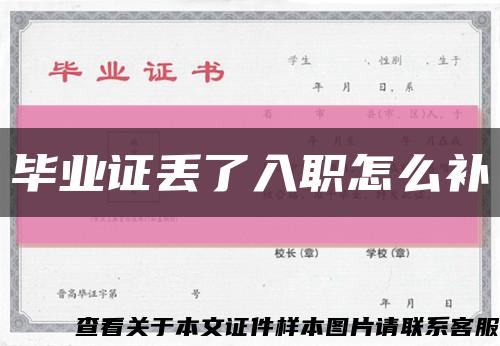 毕业证丢了入职怎么补缩略图