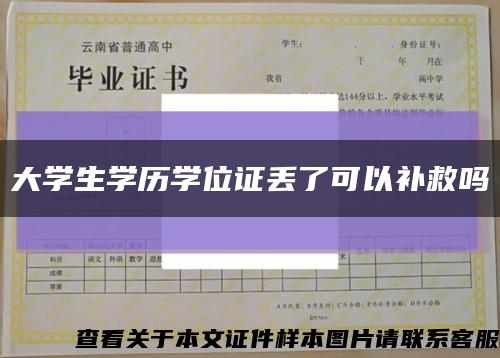 大学生学历学位证丢了可以补救吗缩略图