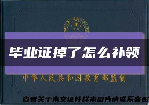 毕业证掉了怎么补领缩略图