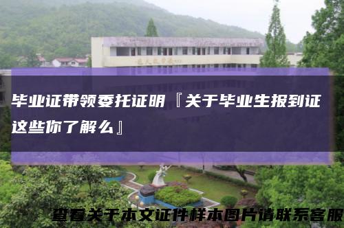 毕业证带领委托证明『关于毕业生报到证 这些你了解么』缩略图