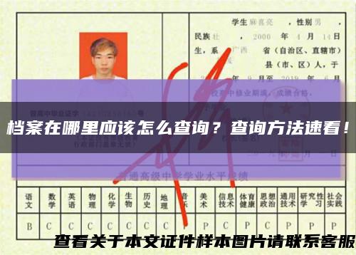 档案在哪里应该怎么查询？查询方法速看！缩略图