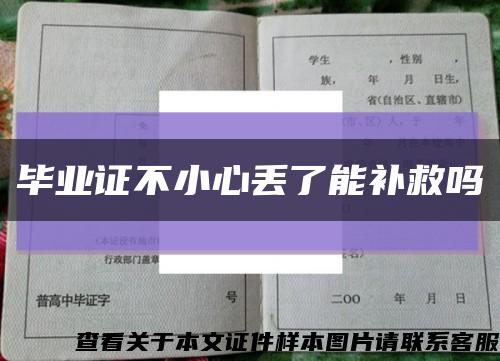 毕业证不小心丢了能补救吗缩略图