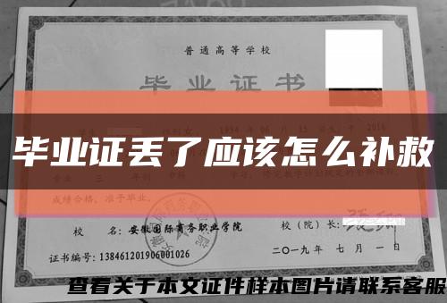 毕业证丢了应该怎么补救缩略图