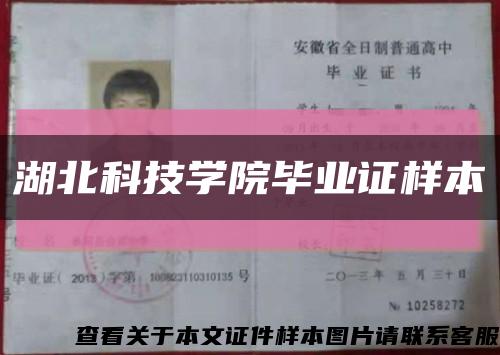 湖北科技学院毕业证样本缩略图