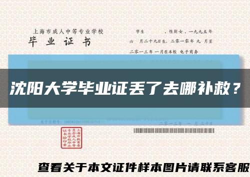 沈阳大学毕业证丢了去哪补救？缩略图