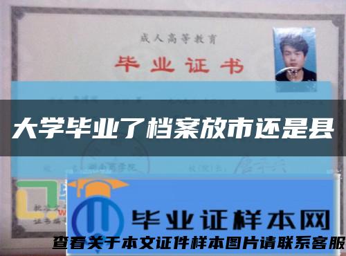 大学毕业了档案放市还是县缩略图