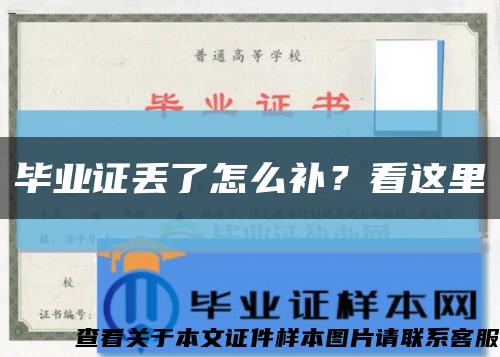 毕业证丢了怎么补？看这里缩略图
