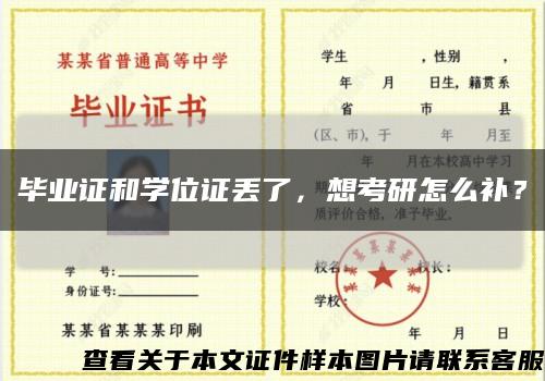 毕业证和学位证丢了，想考研怎么补？缩略图
