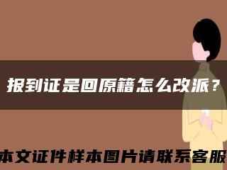 报到证是回原籍怎么改派？缩略图