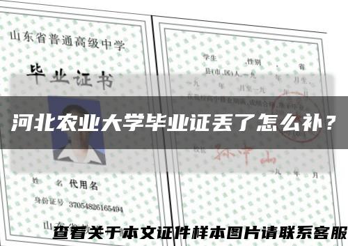 河北农业大学毕业证丢了怎么补？缩略图